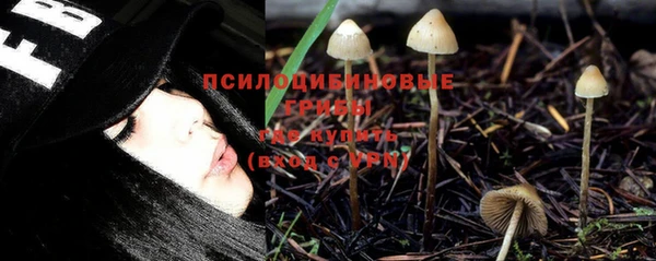 PSILOCYBIN Каменка