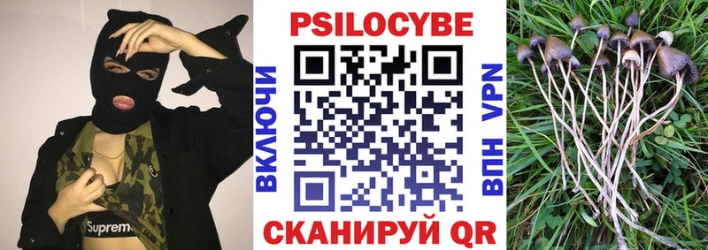 Галлюциногенные грибы Cubensis  наркотики  нарко площадка какой сайт  Кстово 