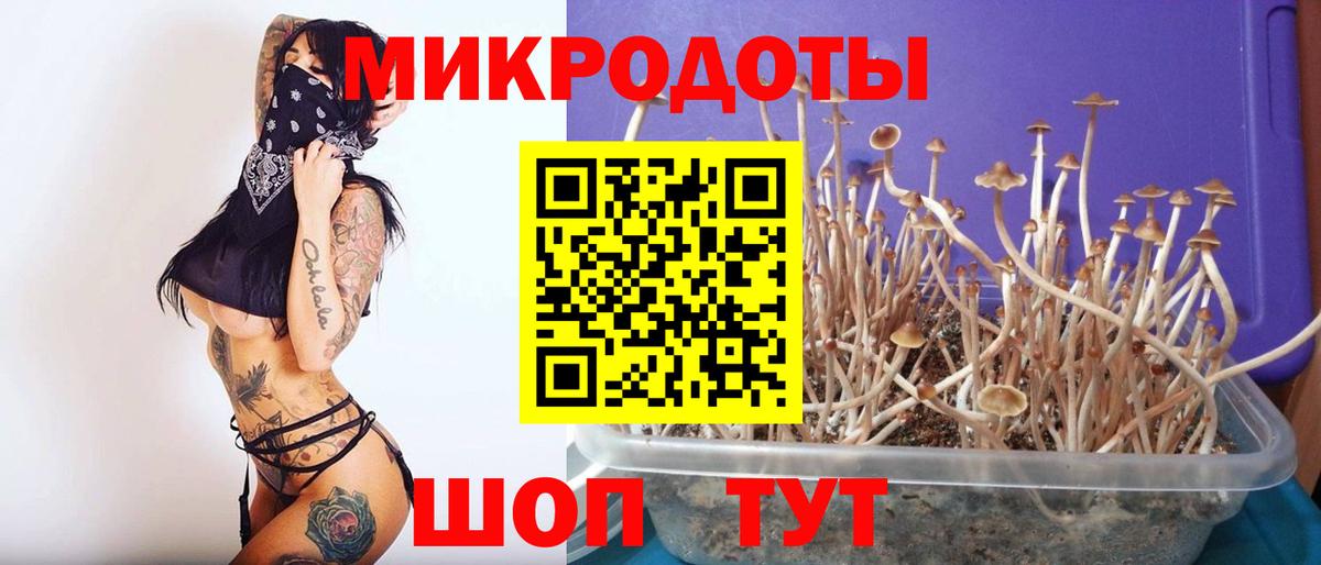 Галлюциногенные грибы ЛСД Кстово
