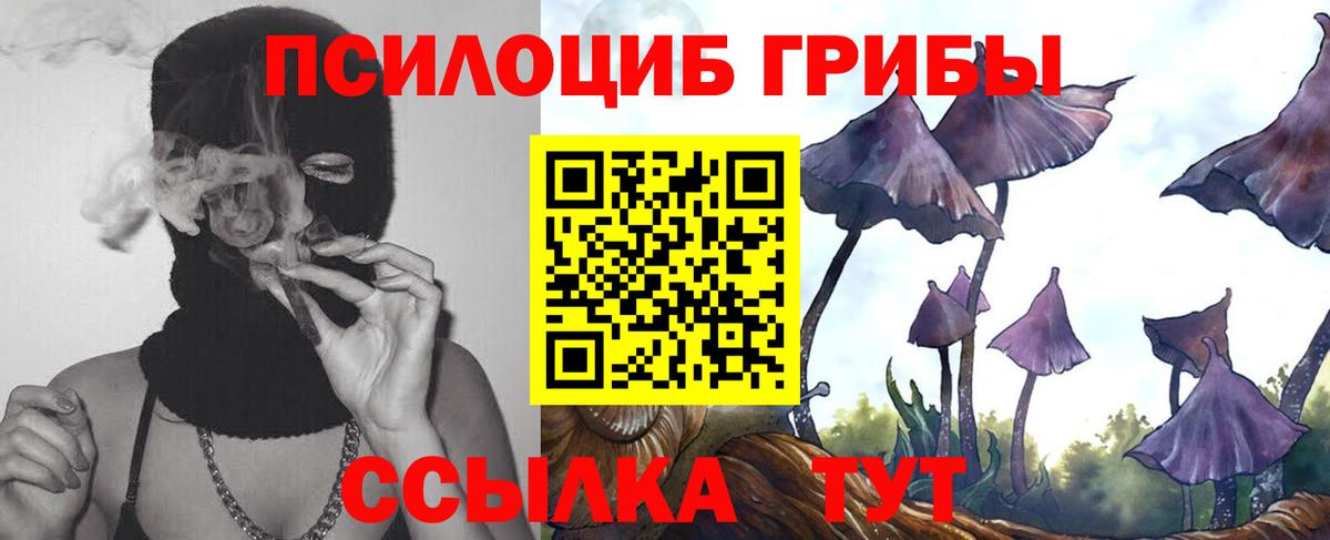 Галлюциногенные грибы прущие грибы  Галлюциногенные грибы мицелий  Вход с VPN  наркотики  Кстово 